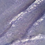 Гел паста DNKa 0003, 5 мл. Гел паста DNKa 0003, 5 мл.