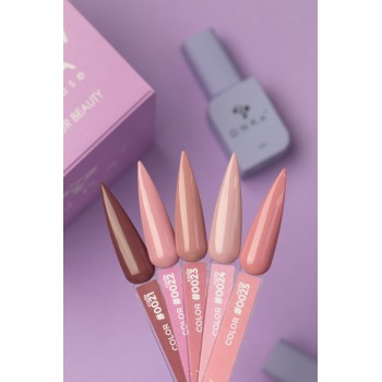 Гел лак DNKa 12 мл. 0024