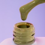 Гел лак DNKa 12 мл. 0065