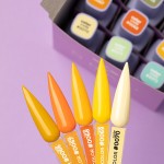 Гел лак DNKa 12 мл. 0067 Гел лак DNKa 12 мл. 0067