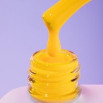 Гел лак DNKa 12 мл. 0069