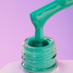 Гел лак DNKa 12 мл.  0076