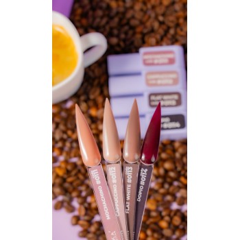 Гел лак DNKa 12 мл.  0113