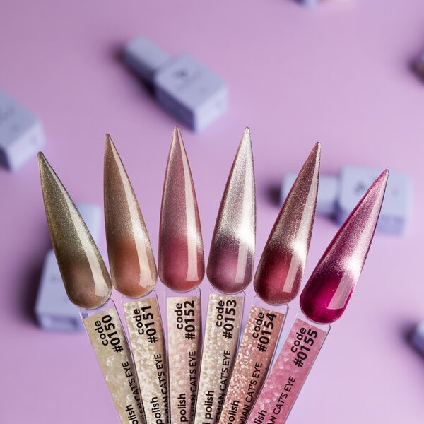 Гел лак DNKa Cat Eye 12 мл. 0150