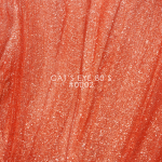 Гел лак DNKa Cats Eye 12 мл. 0002