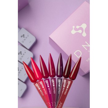 Гел лак DNKa 12 мл.  0085