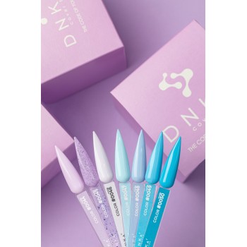 Гел лак DNKa 12 мл. 0048