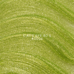 Гел лак DNKa Cats Eye 12 мл. 0006