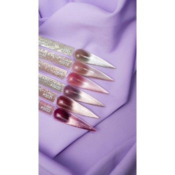 Гел лак DNKa Cats Eye 12 мл. 0022