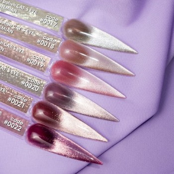 Гел лак DNKa Cats Eye 12 мл. 0022