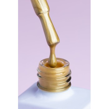 Гел лак DNKa Cat Eye Silk 12 мл. 0030