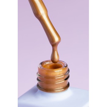 Гел лак DNKa Cat Eye Silk 12 мл. 0031