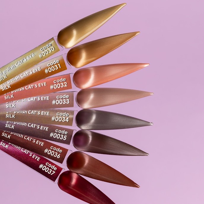 Гел лак DNKa Cat Eye Silk 12 мл. 0033
