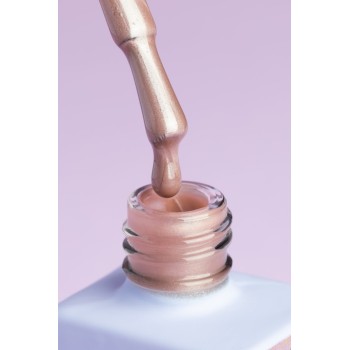 Гел лак DNKa Cat Eye Silk 12 мл. 0033